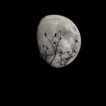 moon-2093161_640